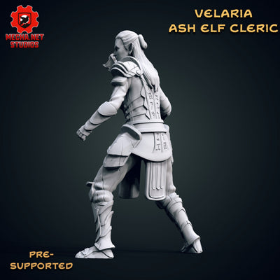 Velaria - Ash Elf Cleric