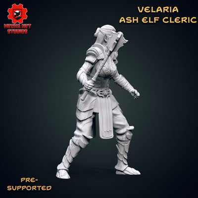 Velaria - Ash Elf Cleric