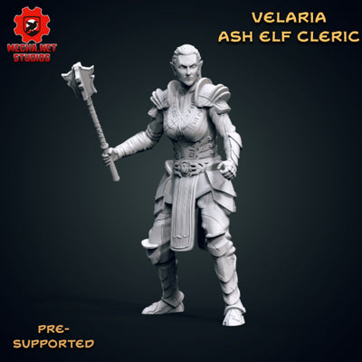 Velaria - Ash Elf Cleric