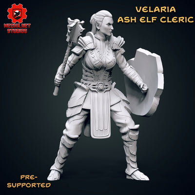 Velaria - Ash Elf Cleric