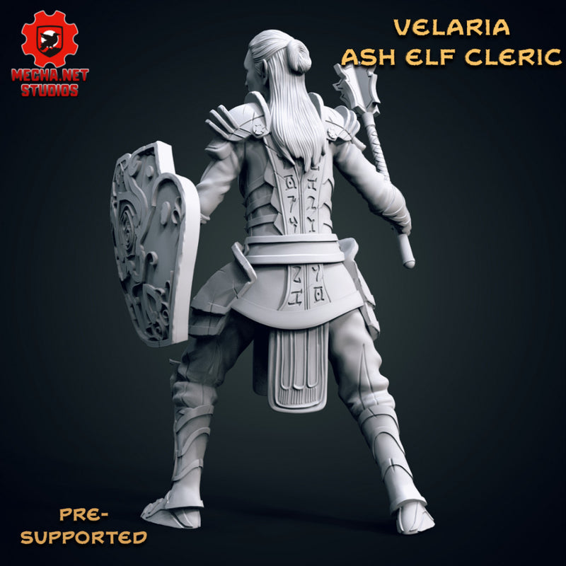 Velaria - Ash Elf Cleric